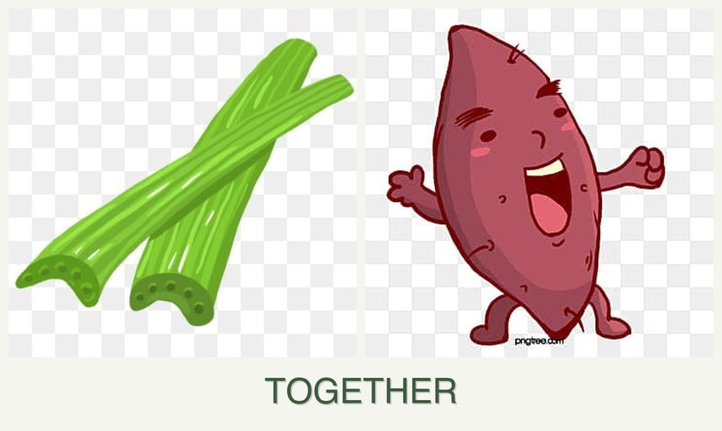 Can you plant celery and sweet potatoes together?