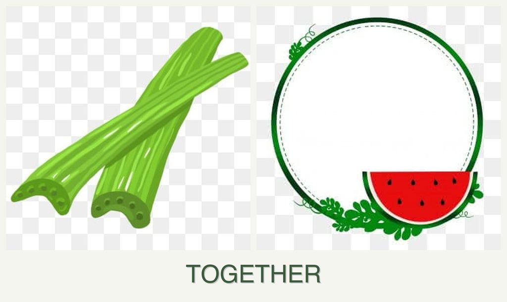 Can you plant celery and watermelons together?