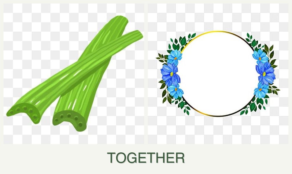 Can you plant celery and zinnias together?