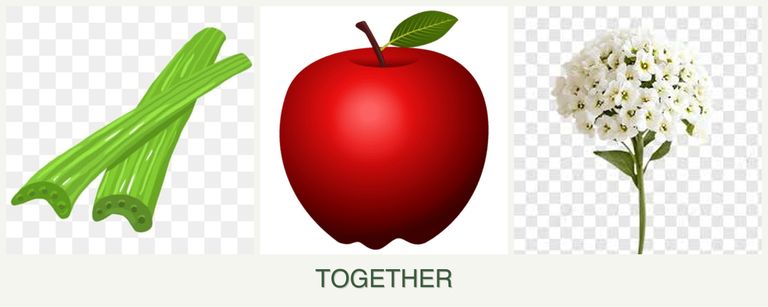 Can you plant celery, apples and alyssum together?