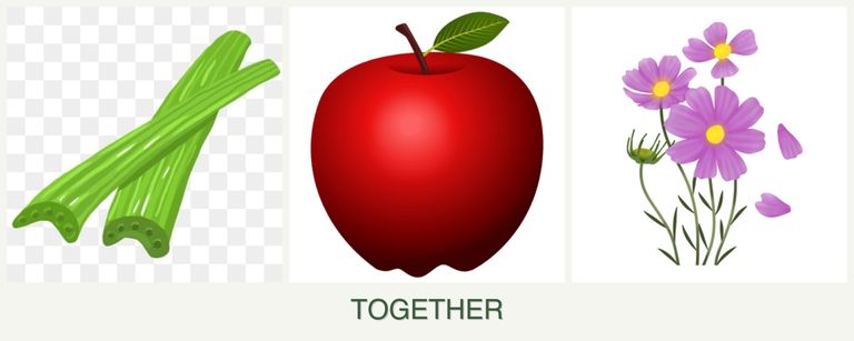 Can you plant celery, apples and cosmos together?