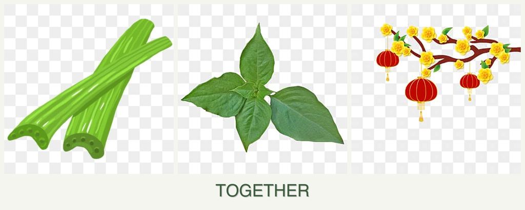 Can you plant celery, basil and apricots together?