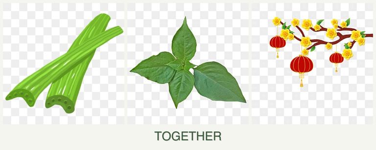 Can you plant celery, basil and apricots together?