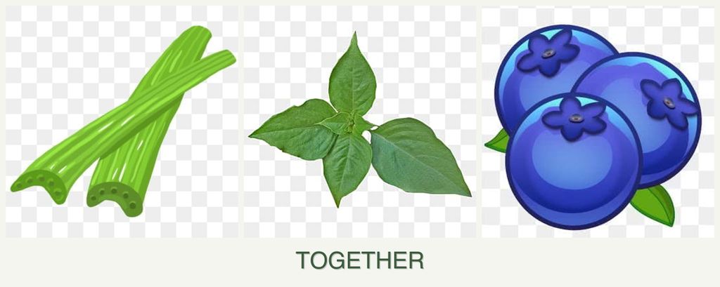 Can you plant celery, basil and blueberries together?