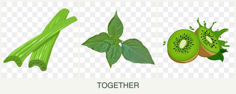 Can you plant celery, basil and kiwi together?