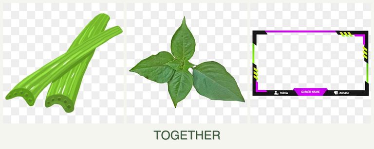 Can you plant celery, basil and limes together?