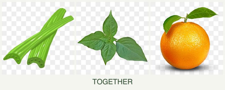 Can you plant celery, basil and oranges together?