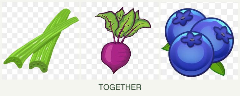 Can you plant celery, beets and blueberries together?