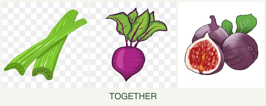 Can you plant celery, beets and figs together?