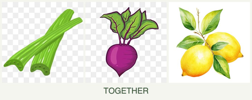 Can you plant celery, beets and lemons together?