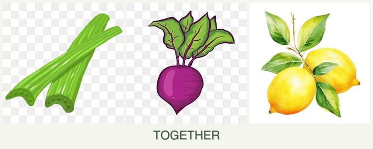 Can you plant celery, beets and lemons together?