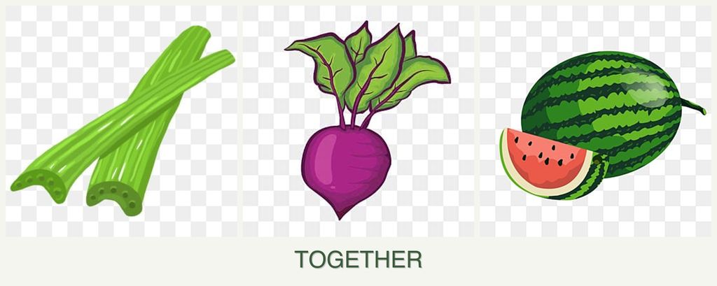 Can you plant celery, beets and melons together?