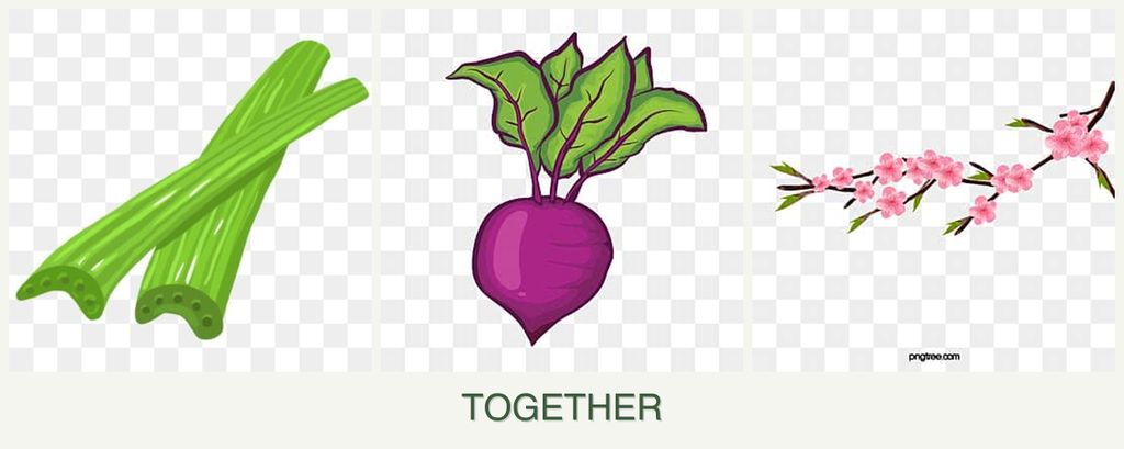 Can you plant celery, beets and peaches together?
