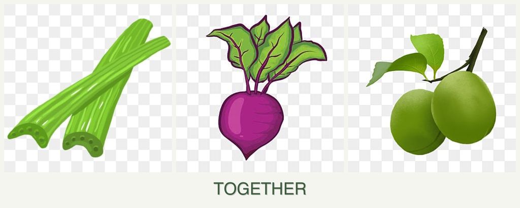 Can you plant celery, beets and plums together?