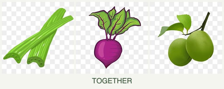 Can you plant celery, beets and plums together?