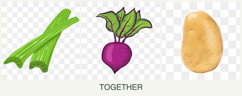 Can you plant celery, beets and potatoes together?