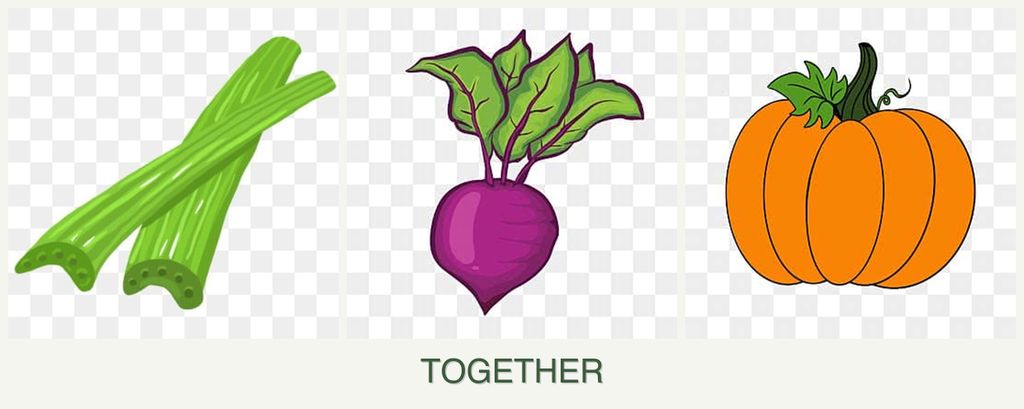 Can you plant celery, beets and pumpkin together?