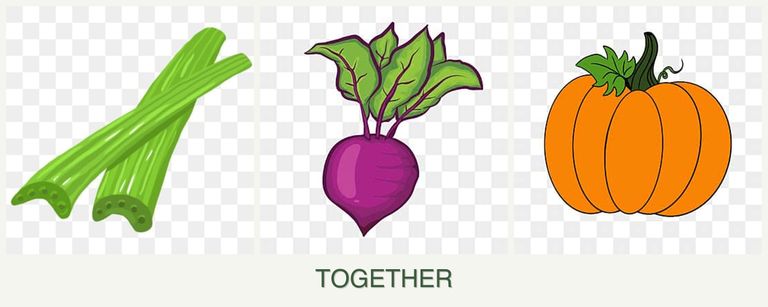 Can you plant celery, beets and pumpkin together?