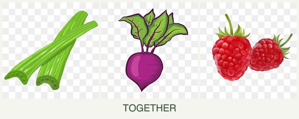 Can you plant celery, beets and raspberries together?
