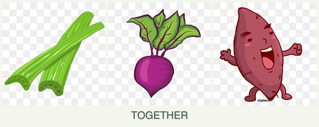 Can you plant celery, beets and sweet potatoes together?