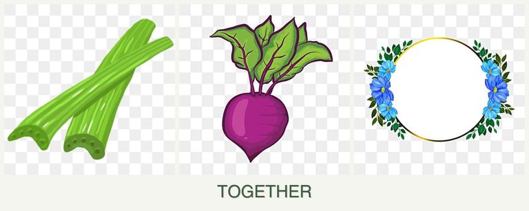 Can you plant celery, beets and zinnias together?
