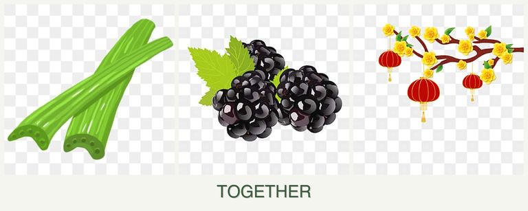 Can you plant celery, blackberries and apricots together?