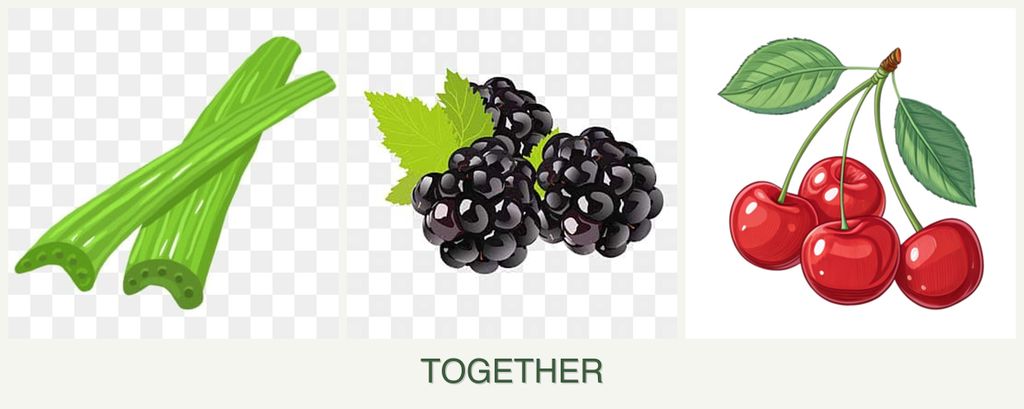 Can you plant celery, blackberries and cherries together?
