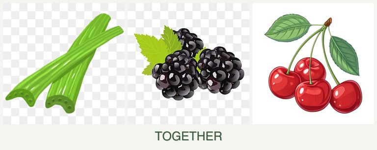 Can you plant celery, blackberries and cherries together?