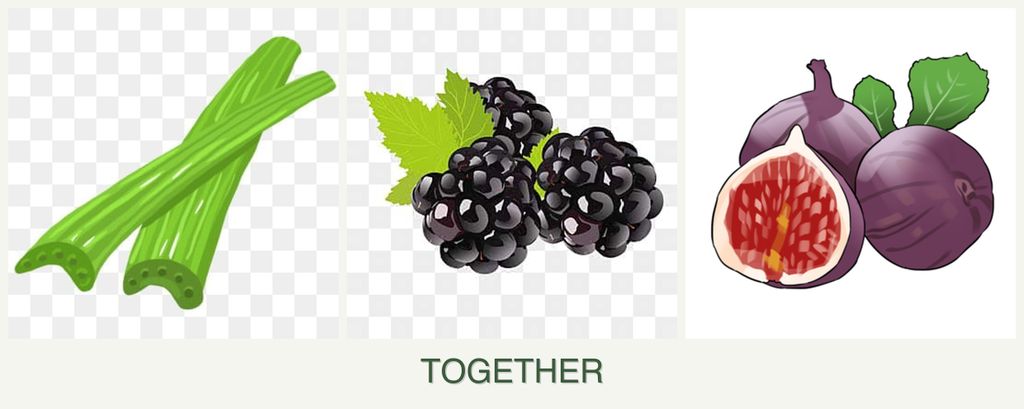 Can you plant celery, blackberries and figs together?