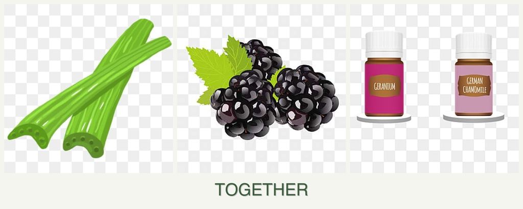 Can you plant celery, blackberries and geraniums together?