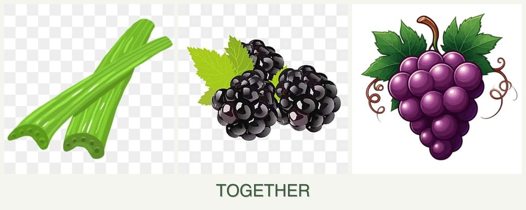 Can you plant celery, blackberries and grapes together?
