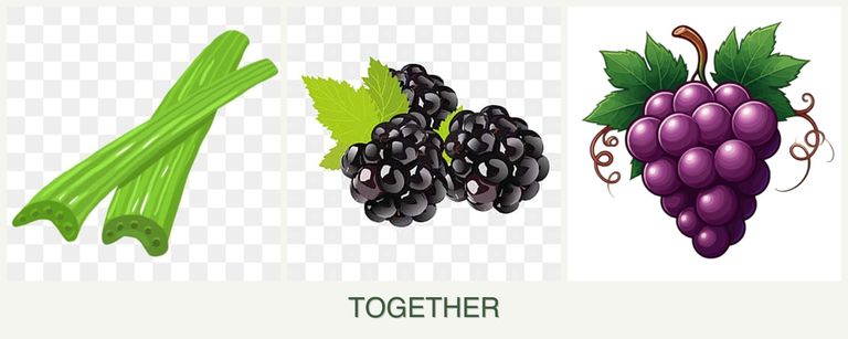 Can you plant celery, blackberries and grapes together?