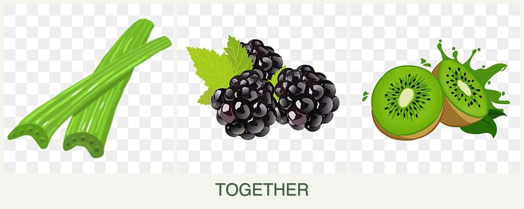 Can you plant celery, blackberries and kiwi together?