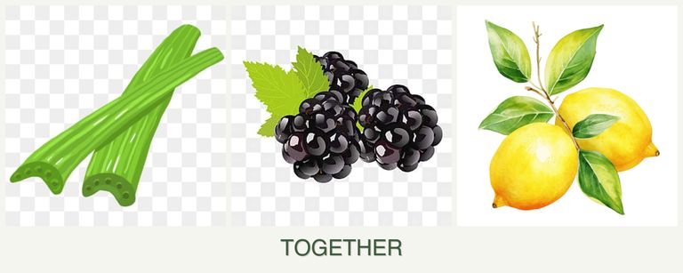 Can you plant celery, blackberries and lemons together?