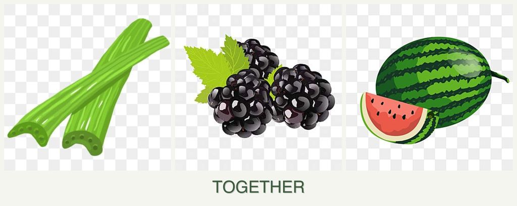 Can you plant celery, blackberries and melons together?