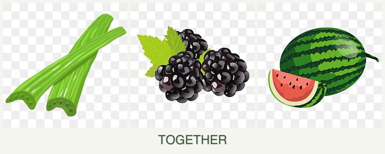 Can you plant celery, blackberries and melons together?