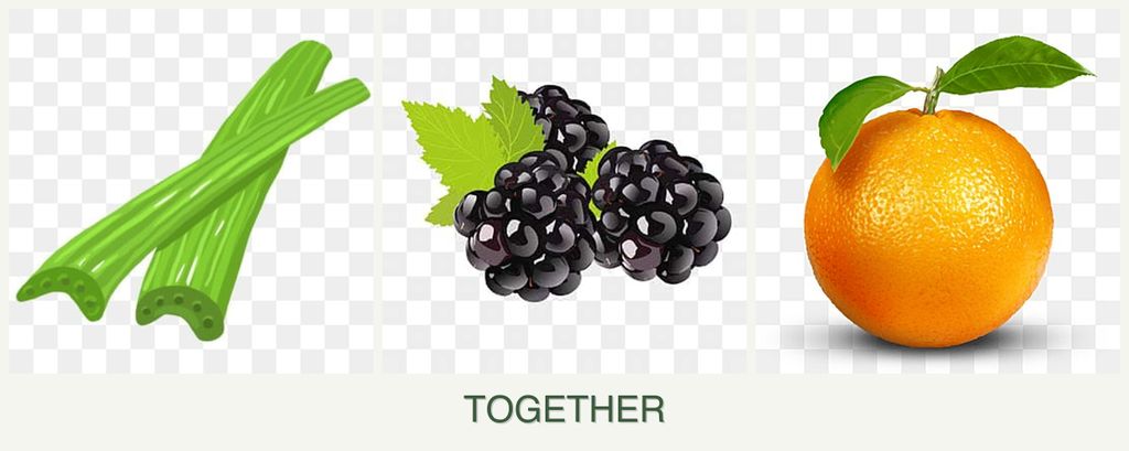Can you plant celery, blackberries and oranges together?