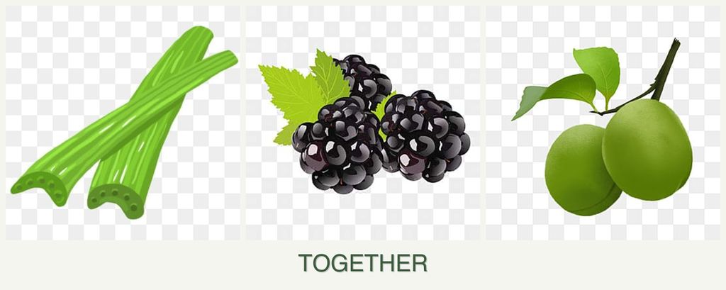 Can you plant celery, blackberries and plums together?