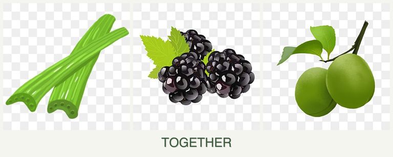 Can you plant celery, blackberries and plums together?