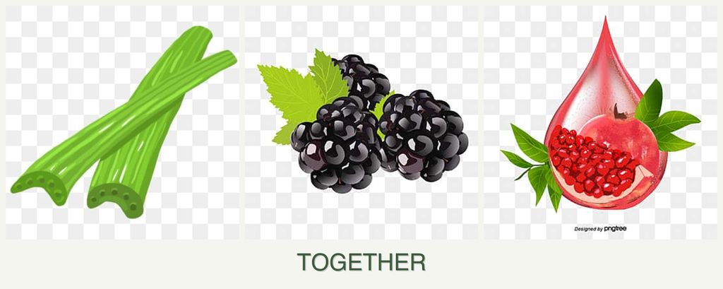 Can you plant celery, blackberries and pomegranates together?