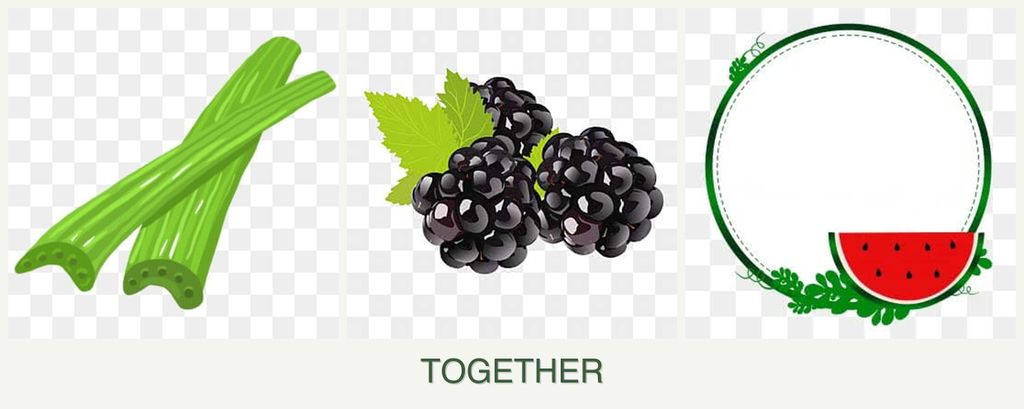 Can you plant celery, blackberries and watermelons together?