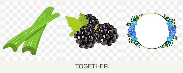 Can you plant celery, blackberries and zinnias together?