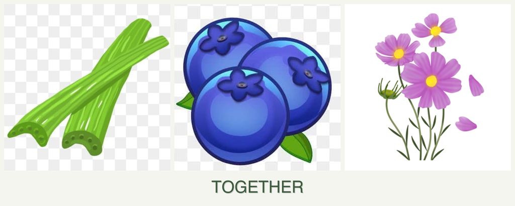 Can you plant celery, blueberries and cosmos together?