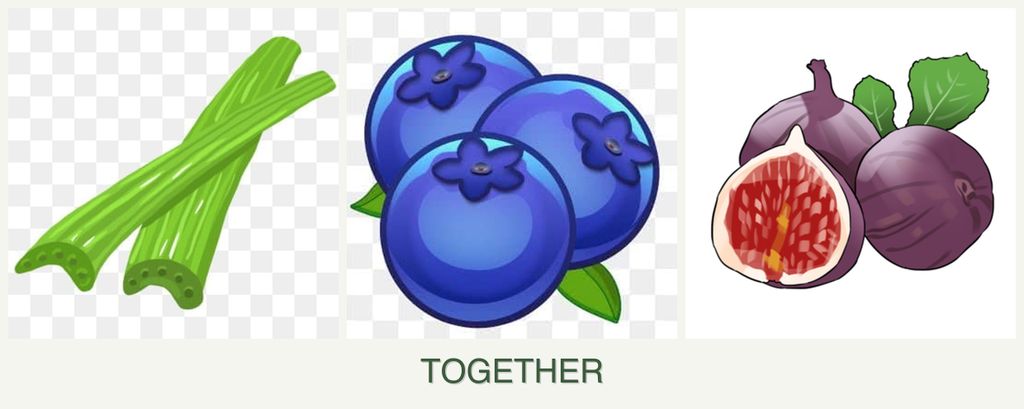 Can you plant celery, blueberries and figs together?