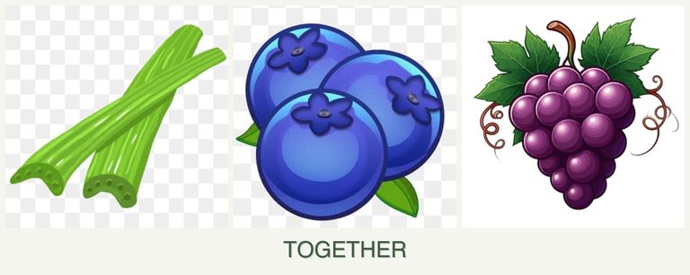 Can you plant celery, blueberries and grapes together?
