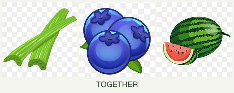Can you plant celery, blueberries and melons together?