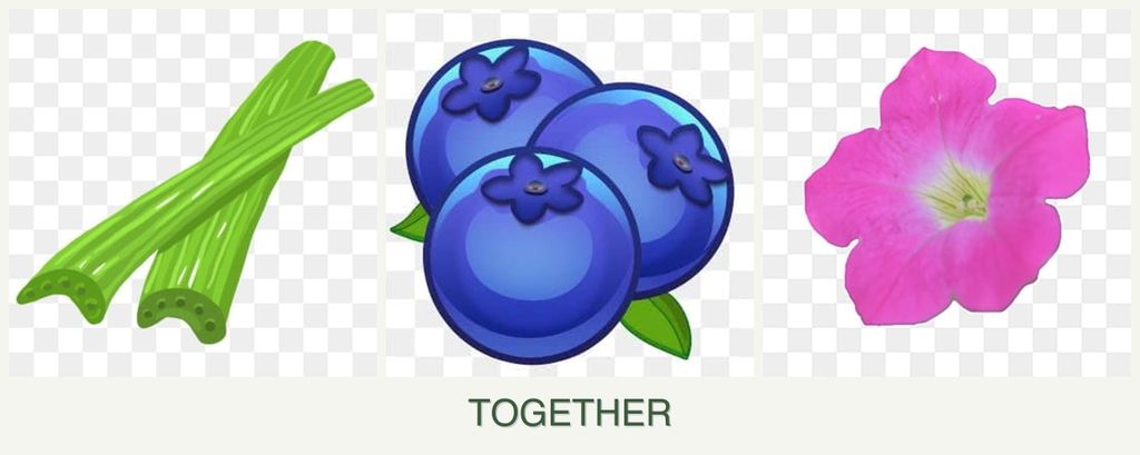 Can you plant celery, blueberries and petunias together?