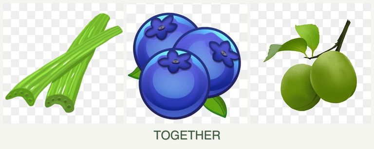 Can you plant celery, blueberries and plums together?