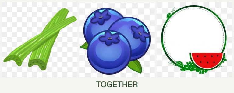 Can you plant celery, blueberries and watermelons together?