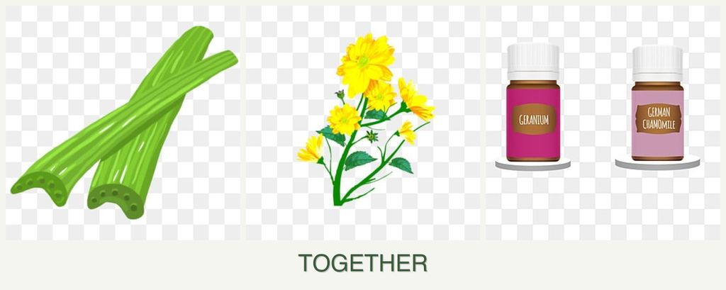 Can you plant celery, calendula and geraniums together?